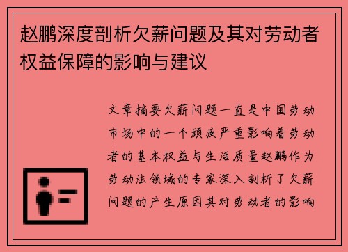 赵鹏深度剖析欠薪问题及其对劳动者权益保障的影响与建议